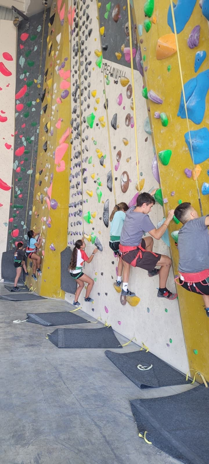 Infants escalant amb arnès al rocòdrom